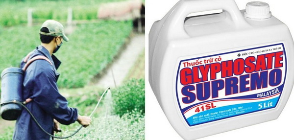 Tranh cãi về nguy cơ gây ung thư của Glyphosate