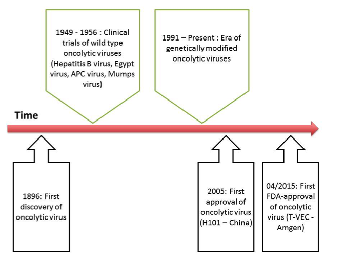 Oncolytic virus – an effective targeting therapy for cancer treatment