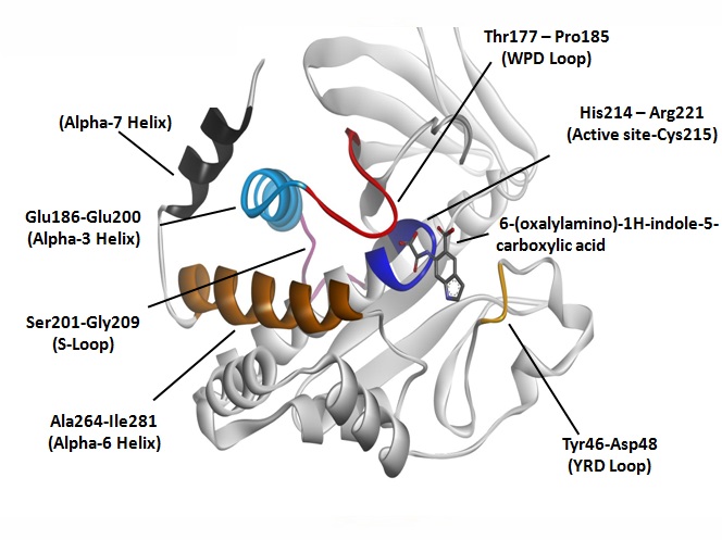Virtual screening of NADI database for protein-tyrosine phosphatase 1B inhibitor in future prospect of drug development in Type 2 diabetes mellitus