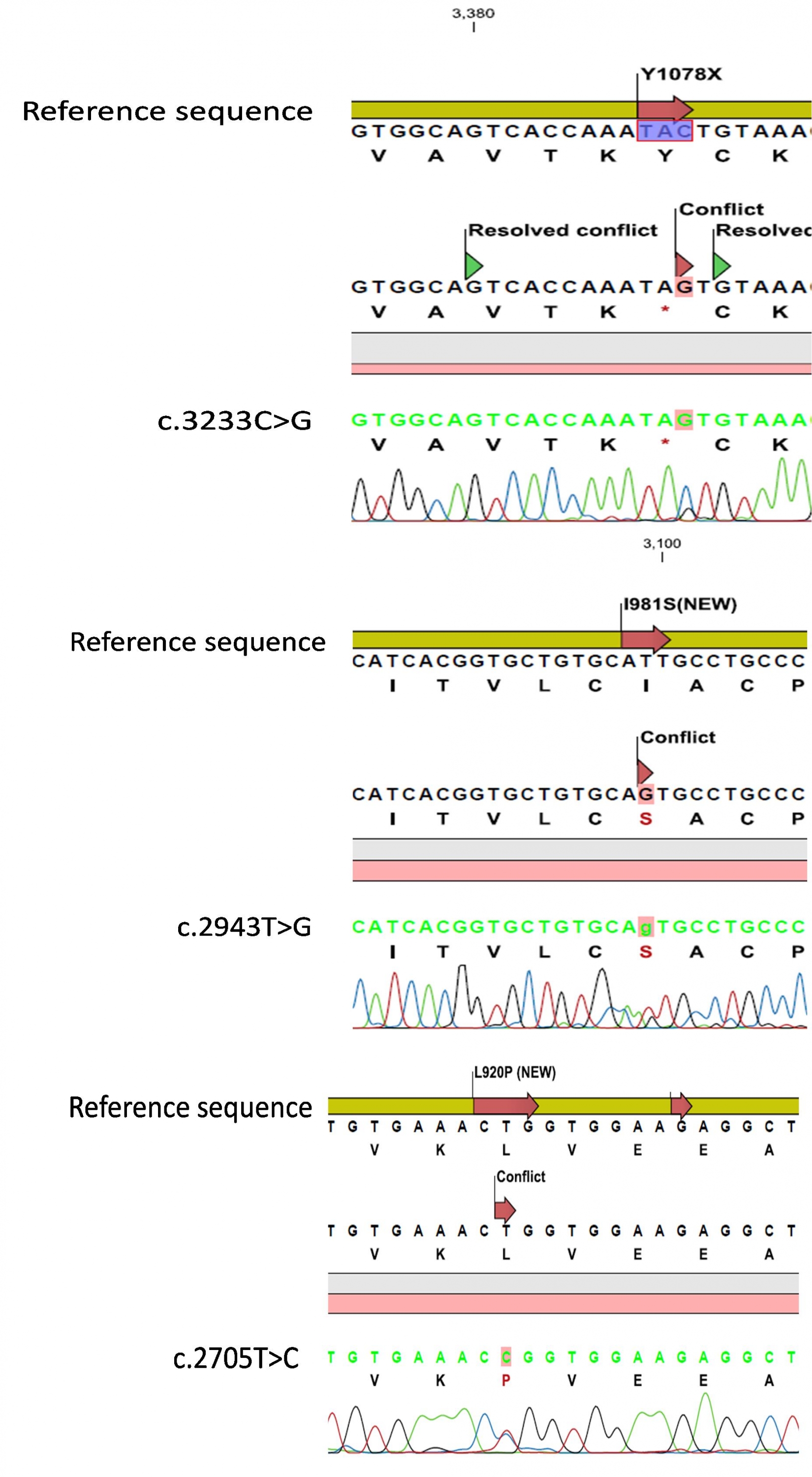 Novel ATP7B mutations in Vietnamese patients with Wilson disease