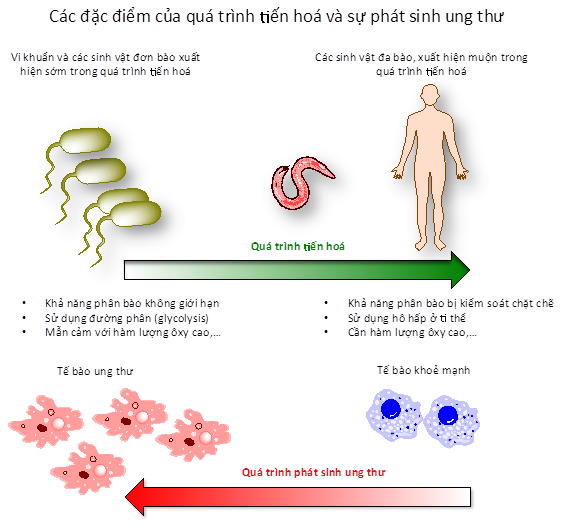 Tế bào ung thư kích hoạt các gien có nguồn gốc từ vi khuẩn để tồn tại và phát triển