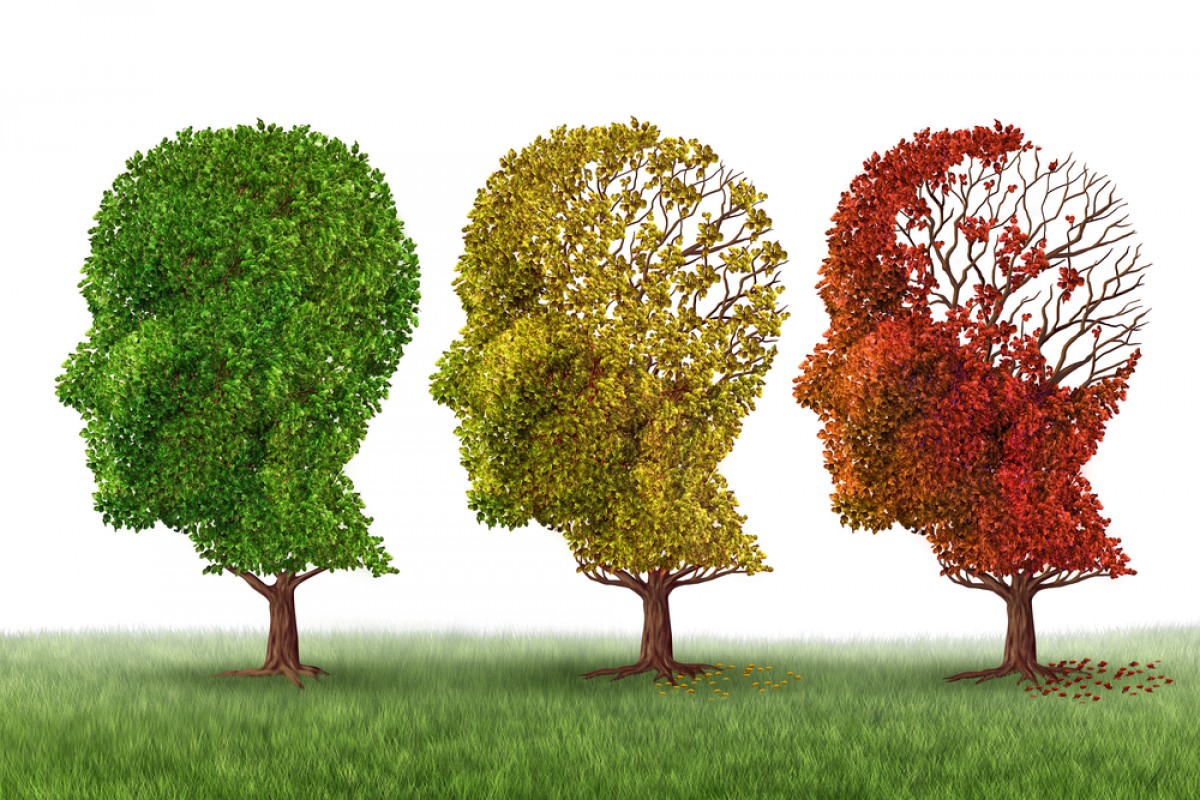 Nghiên cứu cơ chế bệnh Alzheimer