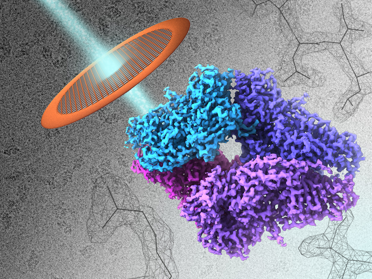 Nobel hóa học năm 2017: Cryo-electron microscopy – bước tiến trong kỷ nguyên sinh học phân tử