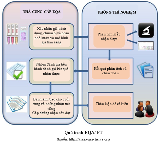 Ngoại kiểm tra chất lượng (External Quality Assessment-EQA)