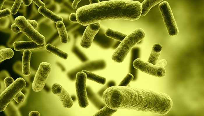 “Portable biomolecular manufacturing” - Bước đột phá trong công nghệ sản xuất chế phẩm sinh học “di động”