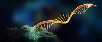 Giới thiệu kĩ thuật giải trình tự RNA của từng tế bào trong nghiên cứu
