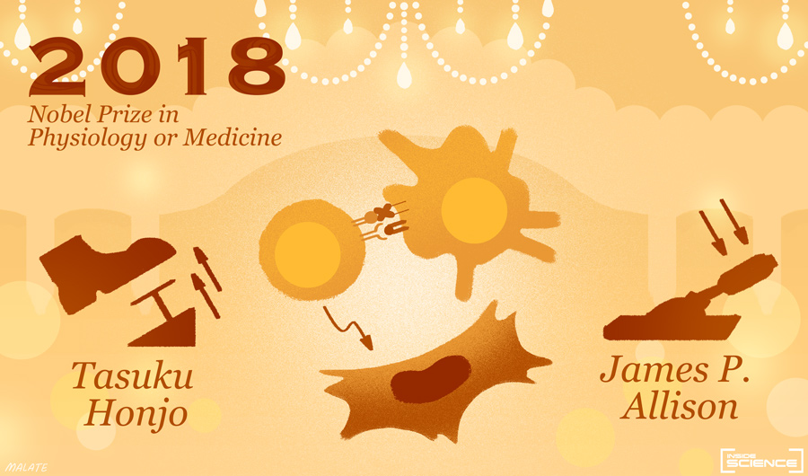 Liệu pháp miễn dịch – Trụ cột thứ 5 trong cuộc chiến chống ung thư